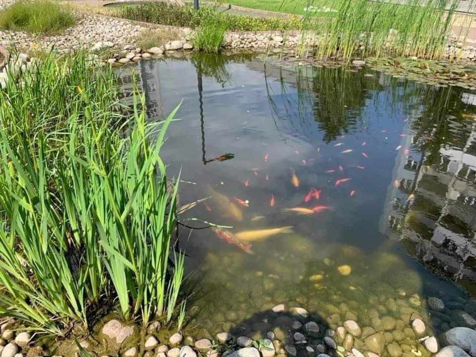 Penzion Set Košice Exteriér fotografie
